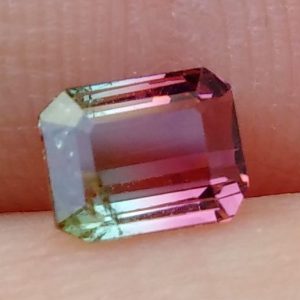 turmalina watermelon