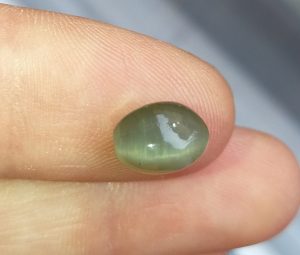 cuart cats eye