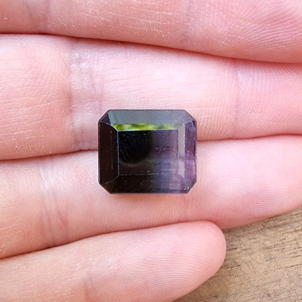 20220425_163742 turmalina bicolora