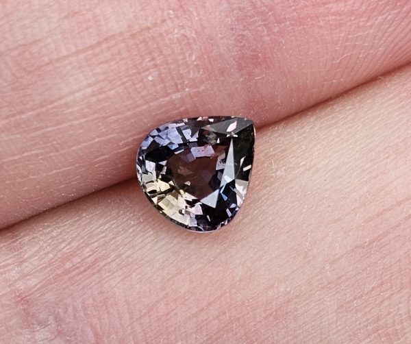 20250823_093010 Safir party