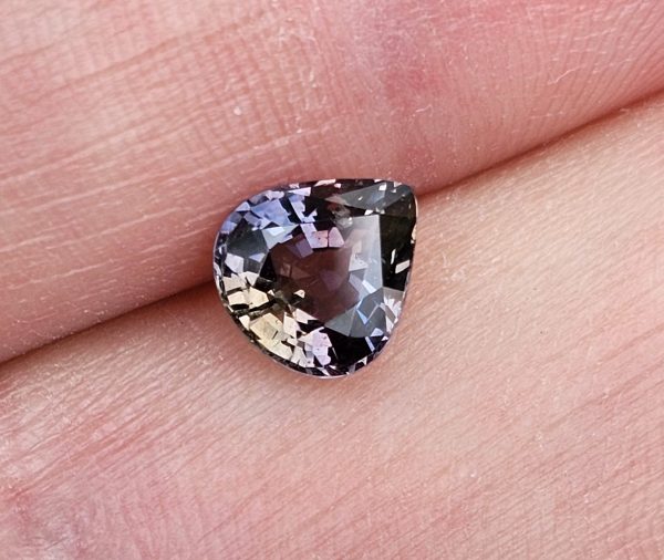 20250823_093011 Safir party