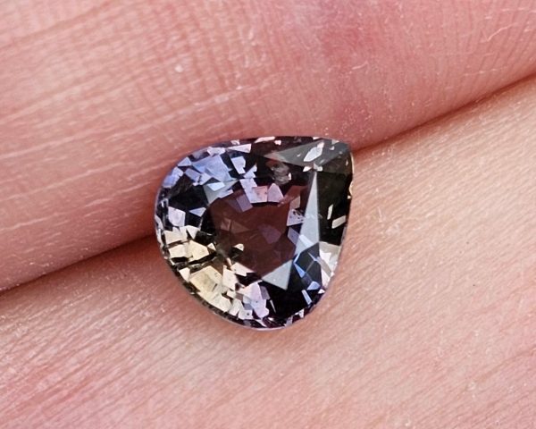 20250823_093013 Safir party