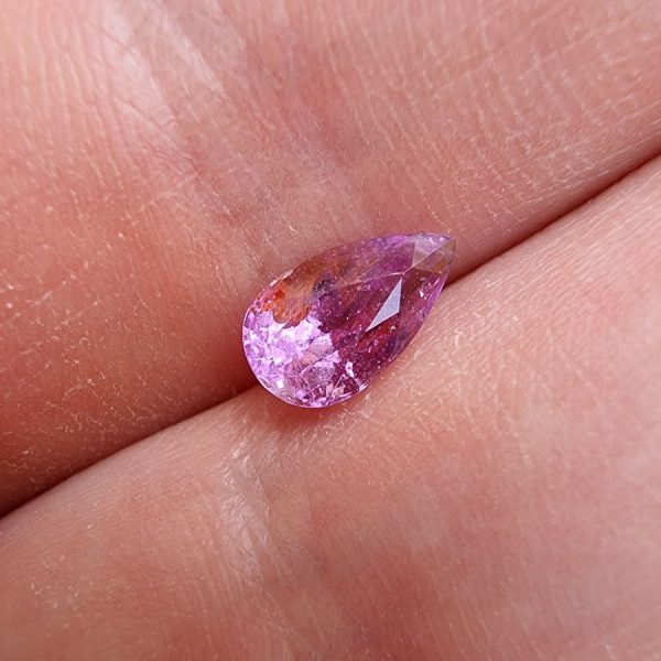 20220425_153338 safir roz