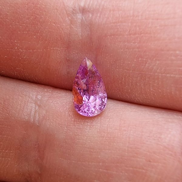 20220425_153409 safir roz