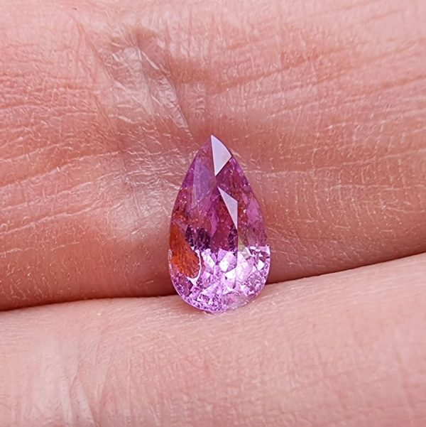 20220425_153439 safir roz