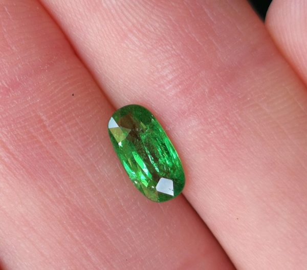 IMG_20210522_141742 Tsavorite