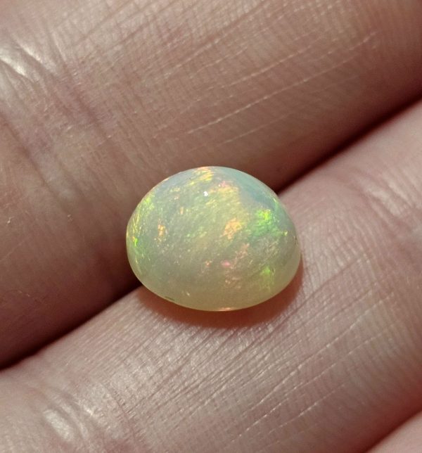 20250330_114211 Opal