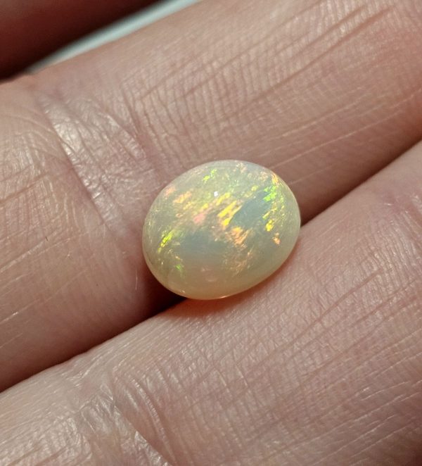 20250330_114246 Opal