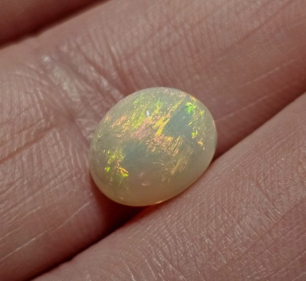 20250330_114258 Opal