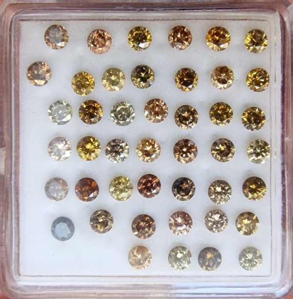 20231004_104853 diamante colorate