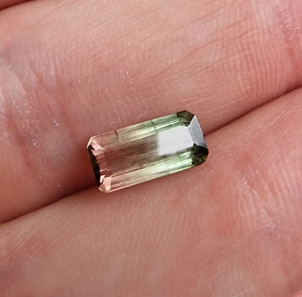 Turmalina watermelon