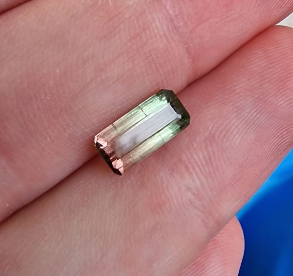 Turmalina watermelon