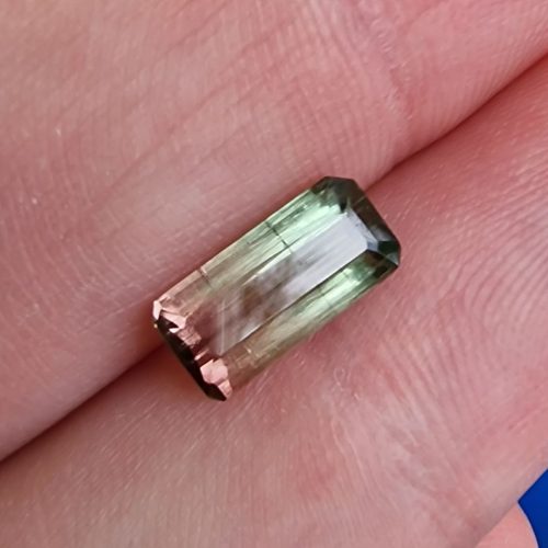 20230910_123228 Turmalina watermelon