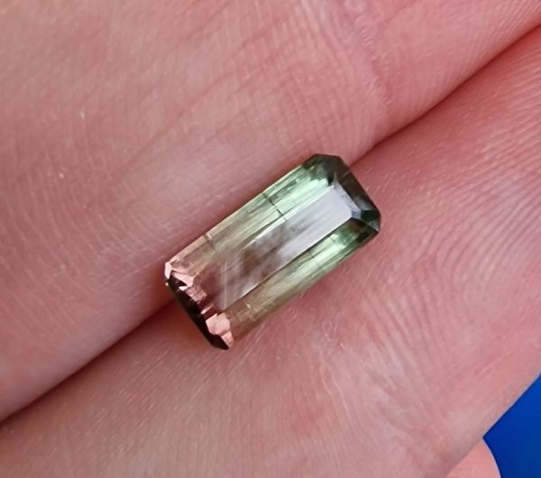 Turmalina watermelon