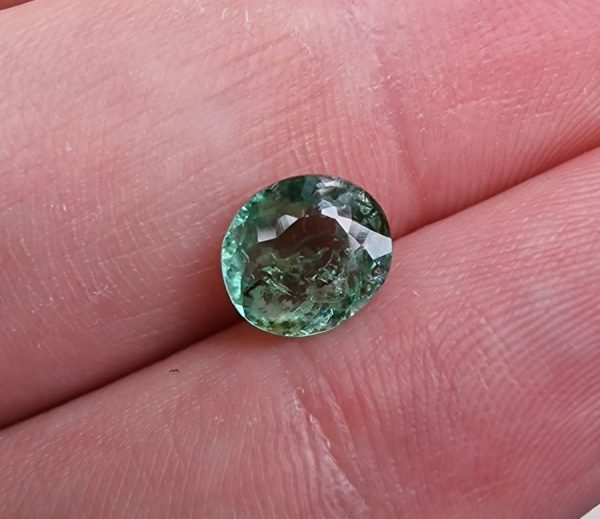 20230910_123615 Turmalina verde