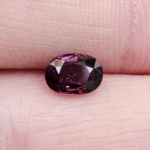 20250112_122319 Safir mov