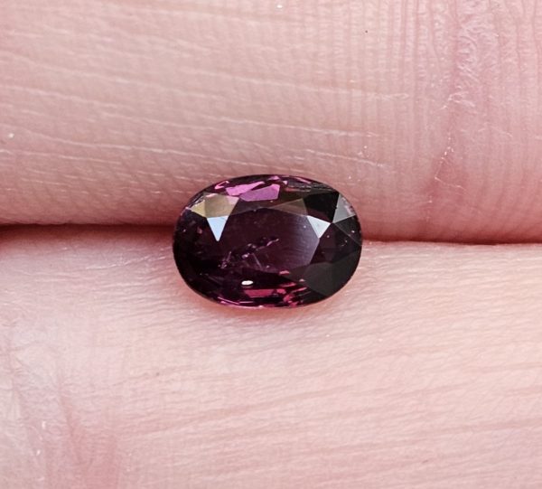 20250112_122319 Safir mov