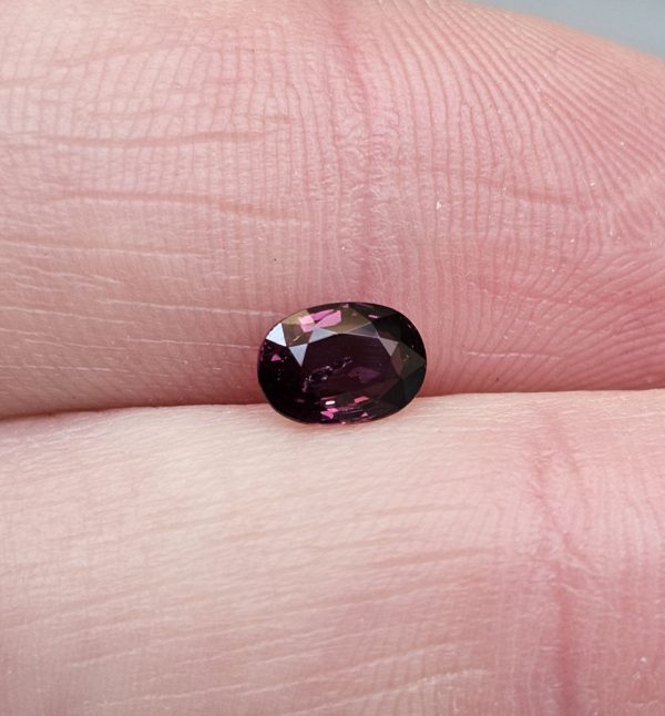 20250112_122423 Safir mov