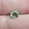20250112_130334 Granat demantoid