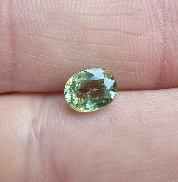 20250112_130334 Granat demantoid