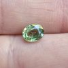 20250112_130339 Granat demantoid