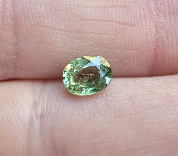 20250112_130339 Granat demantoid