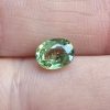 20250112_130341 Granat demantoid