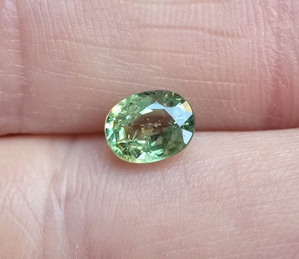 20250112_130341 Granat demantoid