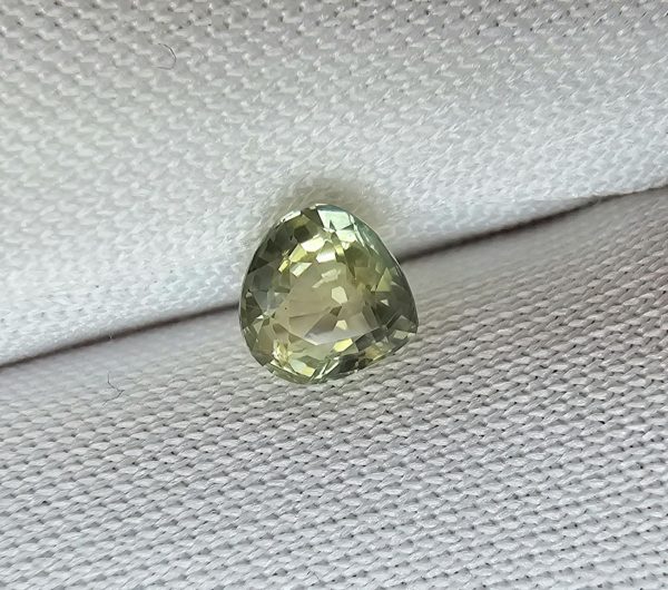 20250529_094128 safir netratat