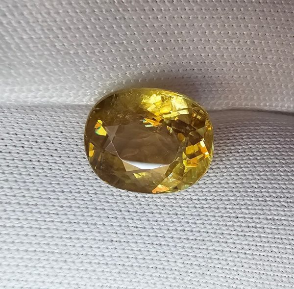 20260228_114145 sfen natural