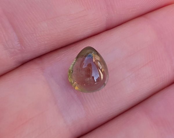 Turmalina bicolora 3.21 ct.