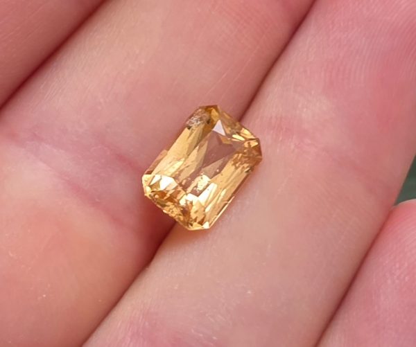 20260823_095051 granat grossular