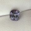 20260829_135119 spinel mov
